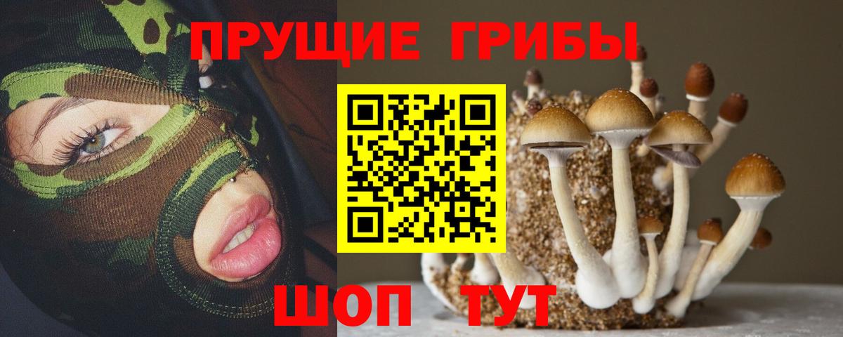 Калуга  Псилоцибиновые грибы мицелий  Вход с VPN  Псилоцибиновые грибы мухоморы 